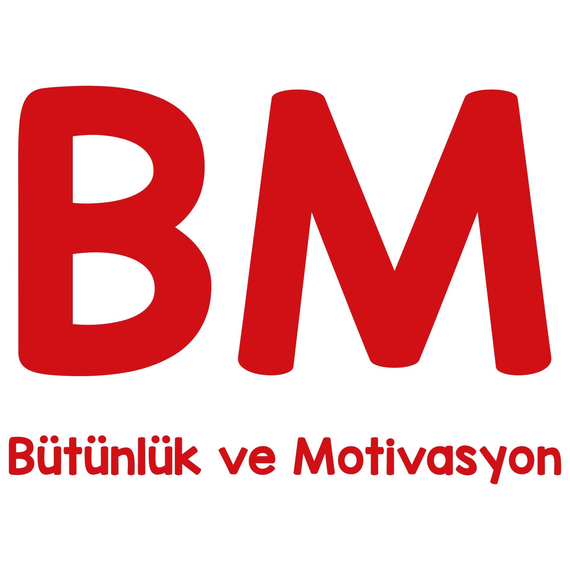 BM Koçluk Danışmanlık